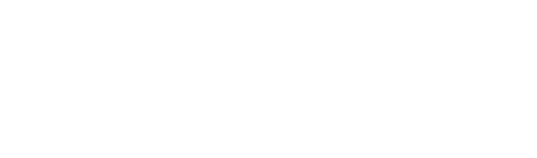 gufo nero